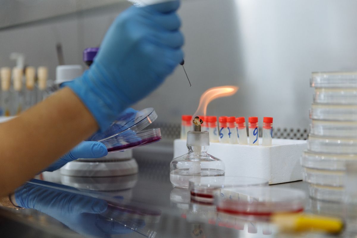 Hücre Döngüsü Analizinde PI Boyama Protokolü